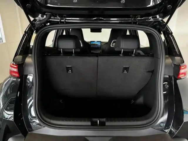 Byd Dolphin Surf 156ch - 43,2 kwh comfort — photo 6