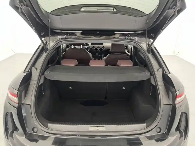 Ds Ds 3 ds3 crossback puretech 155 eat8 — photo 13