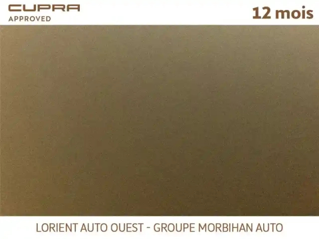 Cupra Formentor 1.4 e-hybrid 245 ch dsg6 — photo 6