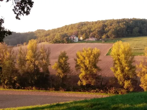Vends corps de ferme composé de 2 maisons, pleine nature, proximité de Villeneuve-sur-Lot