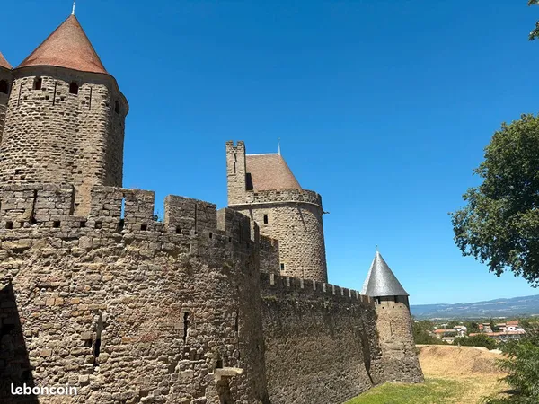 Local 120 m² CARCASSONNE