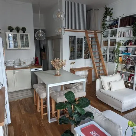 Magnifique appartement haussmannien T2 meublé - Lyon centre, secteur Saxe