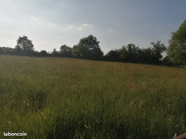 Terrain viabilisé