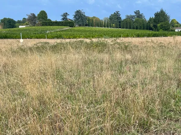 Terrain 705 m²