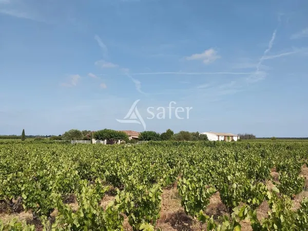 Atypique petit Domaine viticole AB et Biodynamie en cave particu