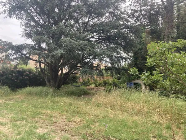 À vendre – Terrain arboré de 807 m² constructible à Perpignan (66000)