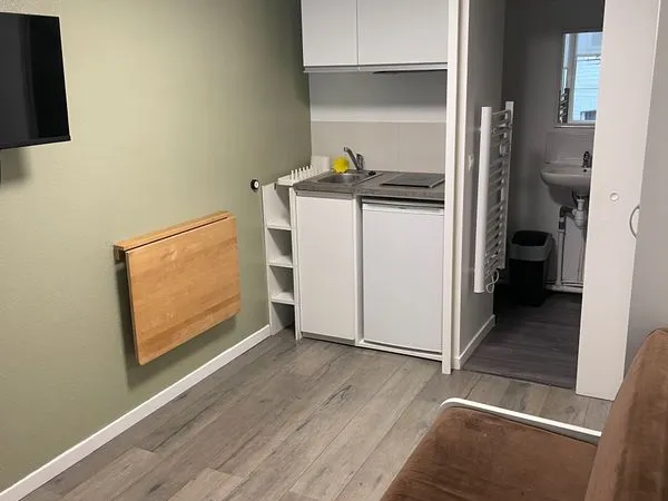 Appartement Location Lille 1p 12m² 500€