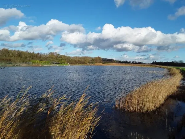 Baie de somme nord -baisse de prix