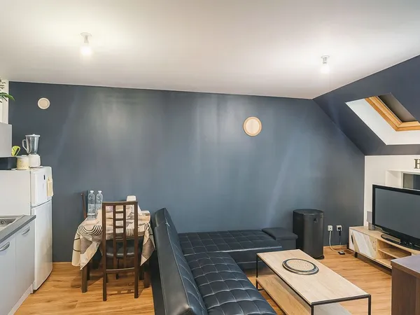 Appartement de 40m2 à louer sur Erstein