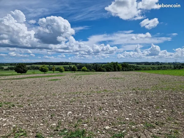 2 parcelles mitoyennes en Charente Maritime 22900