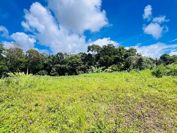 Terrain 722 m²