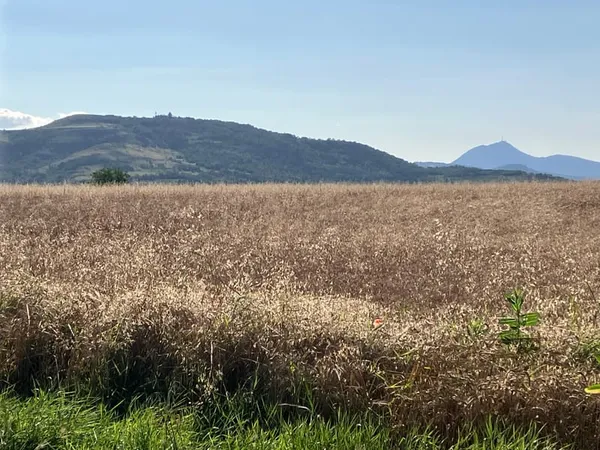 Terrain à bâtir Vente Le Cendre 542m² 103000€