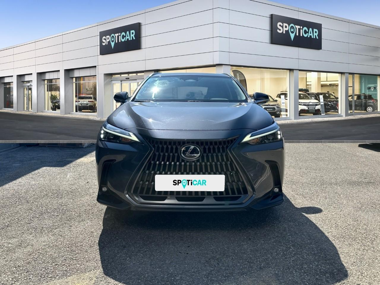 Lexus Nx 350h luxe 2wd my25 — photo 2