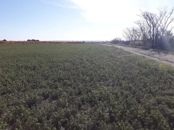 Terrain 462 m²