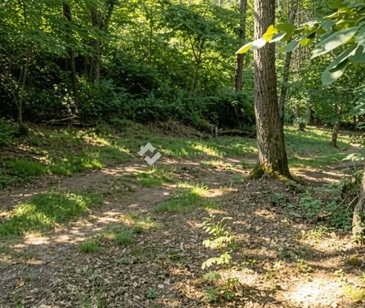 Terrain 400 m² Tigery