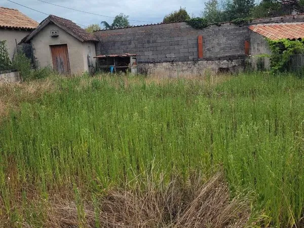 Maison a vendre Ribérac (24)