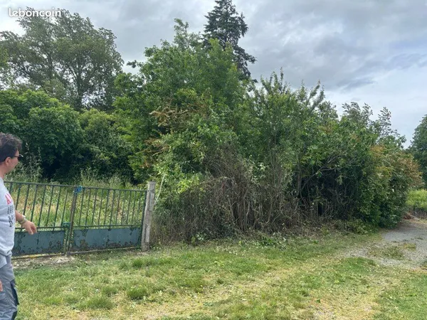Vente de 3 parcelles de terrain (jardin)