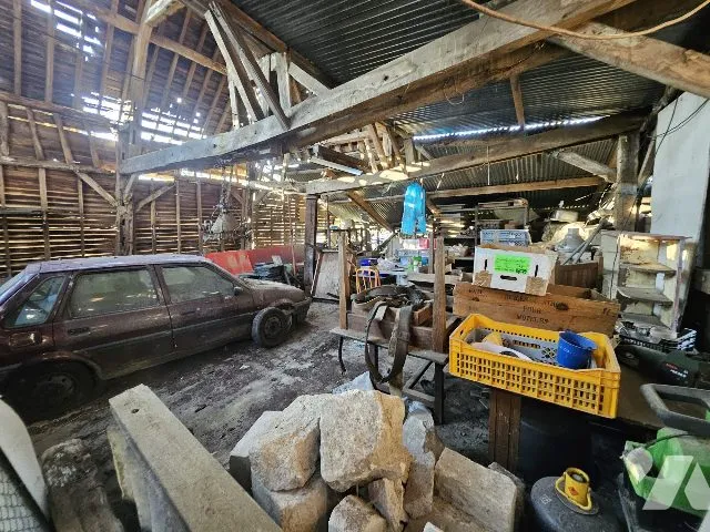 Photo 15