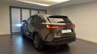 Lexus Nx 450h+ Luxe 4WD MY24 — photo 7