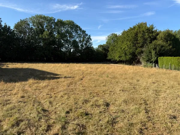 Terrain 1290 m²