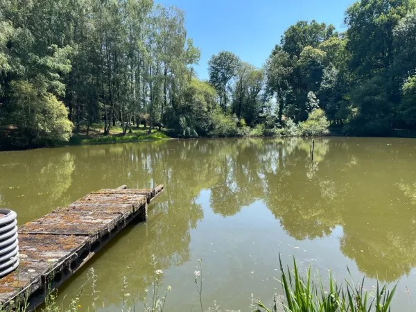 Terrain 9650 m²