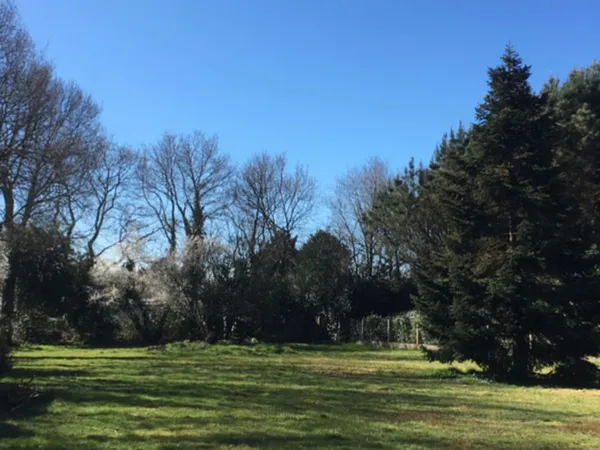 TERRAIN À COMMEQUIERS
