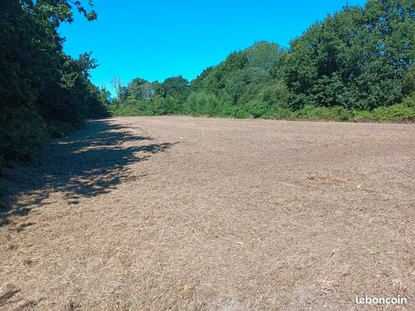 Terrain agricole 7000m2 - Mousterlin