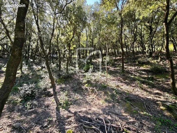 Terrain 4159 m² Sorède