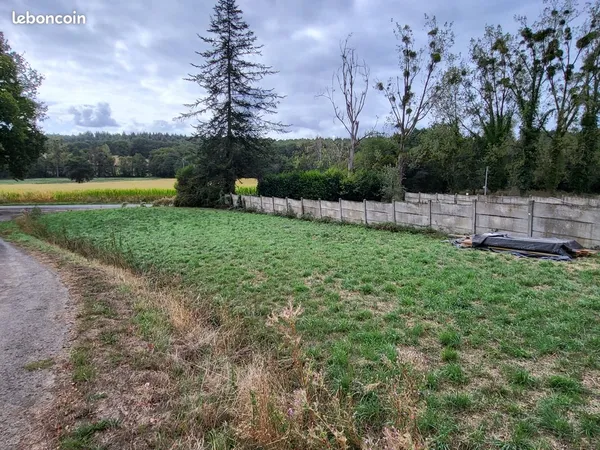 Terrain constructible