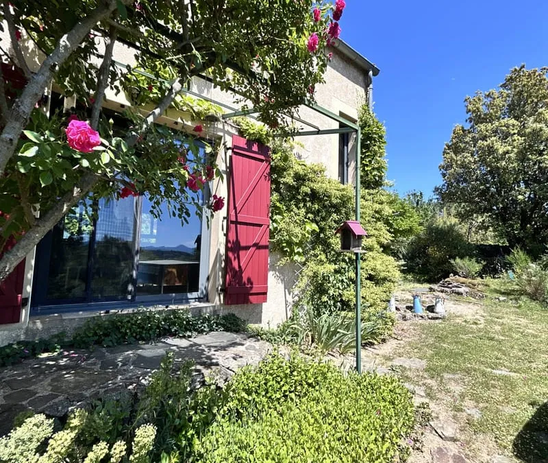 Photo 16