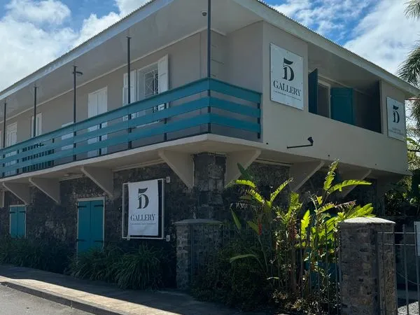 Grands Bois - Spacieux T2 de 75 m² - Plage à pied - CHU Saint-Pierre à 5 min