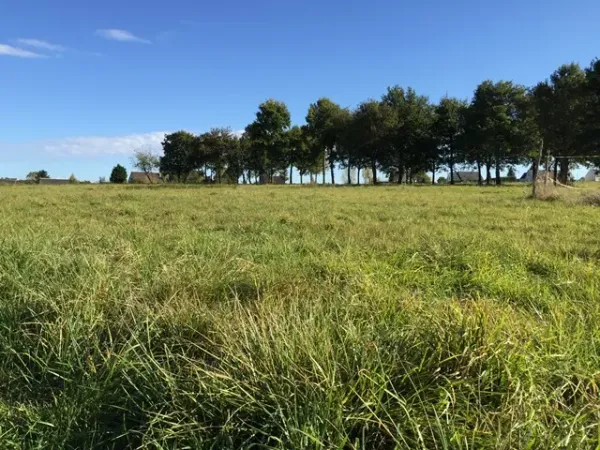 Maison neuve 5 pièces 95 m²