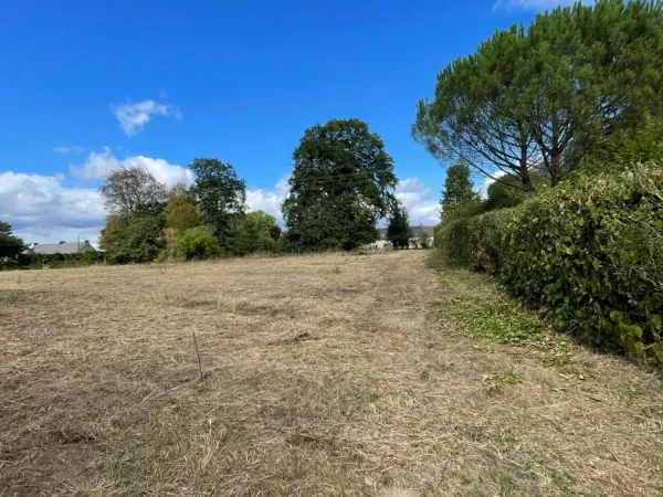 Terrain 1695 m²