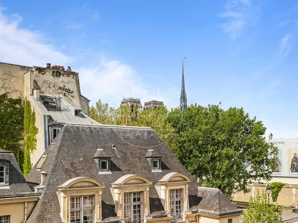 Appartement d'exception avec vue Notre-Dame de Paris!