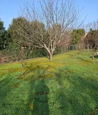 Terrain viabilisé