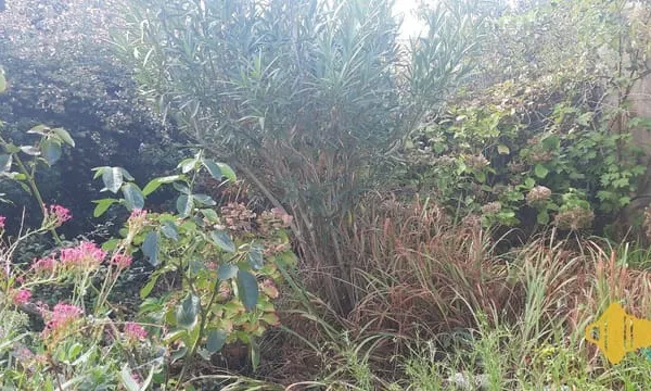 Maison 2 pièces 61 m²