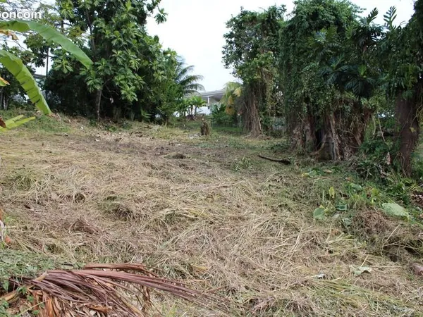 Terrain 1 075 m² La Trinite