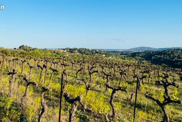 Terrain agricole