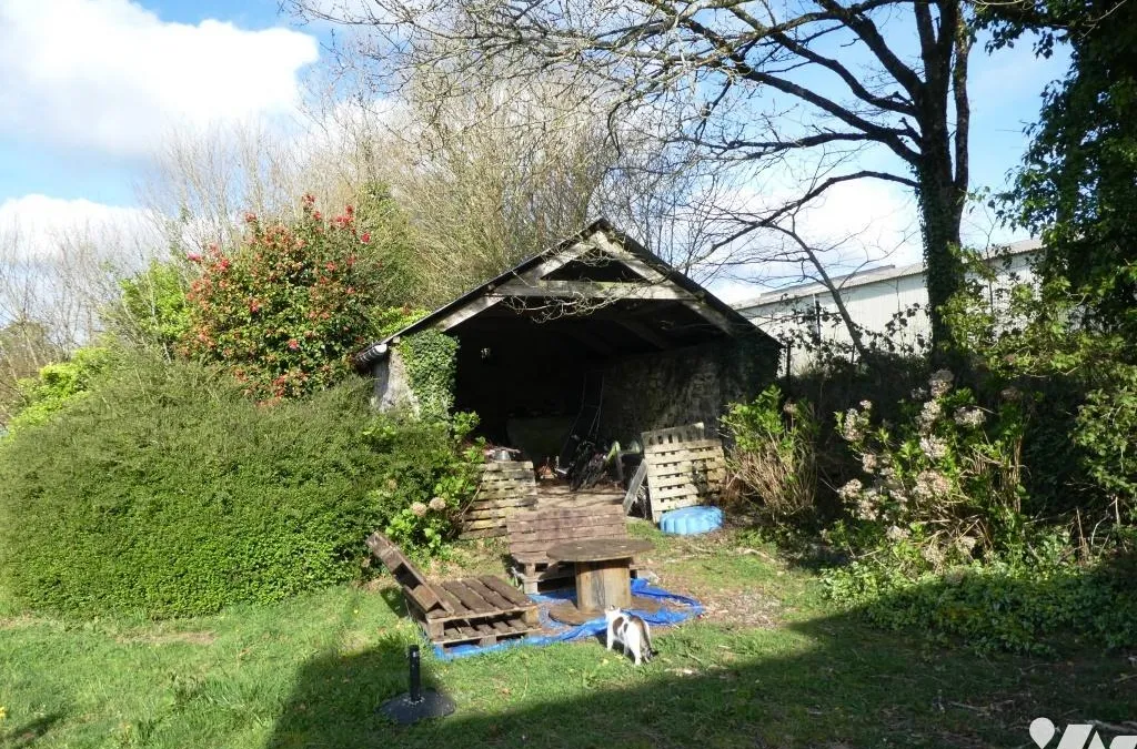 Photo 5