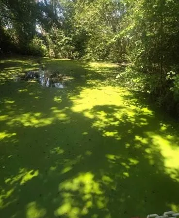 Plan d'eau Vente Saint-Éman   28000€