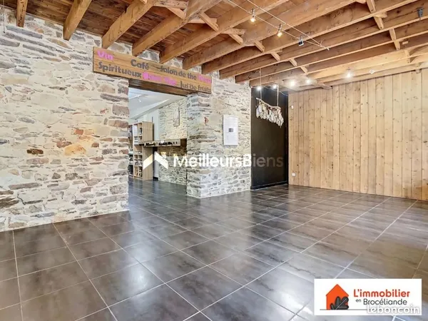 Immeuble 315 m²
