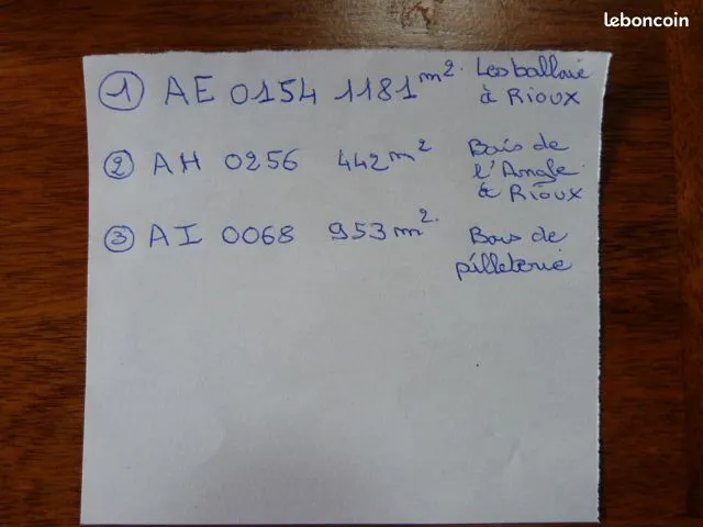 Photo 1