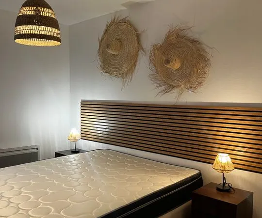 Appartement de 50m2 à louer sur Caluire-et-Cuire