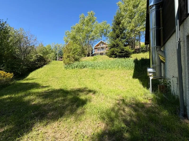 Photo 41
