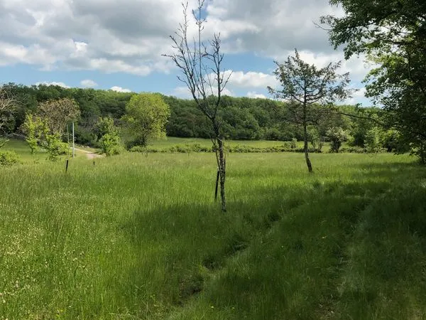 Terrain de Loisir