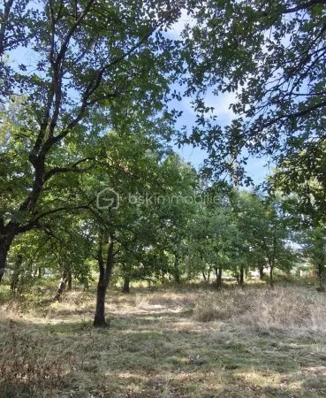 Terrain 1408 m²