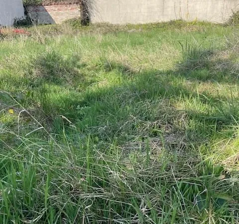 Terrain 431 m² Montreuil