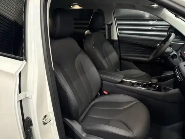 Mg Ehs 1.5 gdi 272ch phev luxury — photo 10