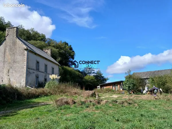 Maison en bois 4 pièces 250 m²
