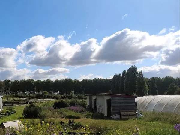 Ferme maraichère biologique